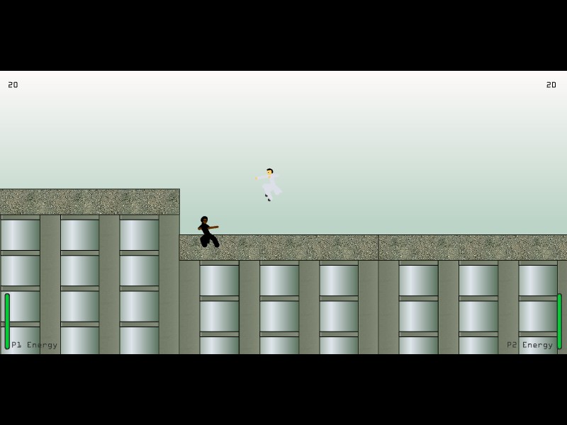 Bullet Time Fighting